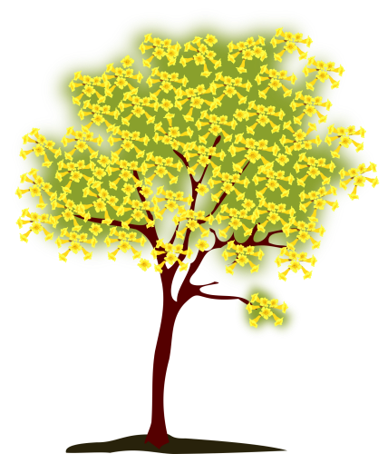 logo1